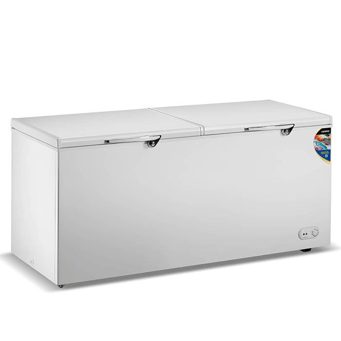 CHANGER BD-600 — морозильная камера с низкой температурой до -18°C, с многорежимным управлением и хладагентом R134a, купить онлайн в Бишкеке