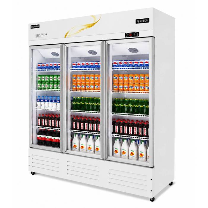 Холодильник витринный ECO ICE FX-3 купить Бишкек | ONBIR.KG