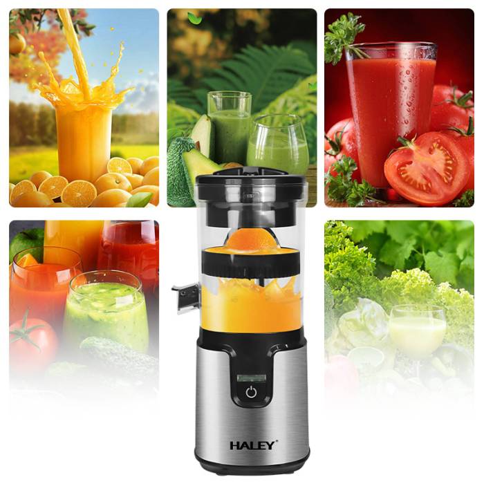 Haley HY-2949 — объём контейнера 350 мл, подходит для свежего цитрусового сока в любое время