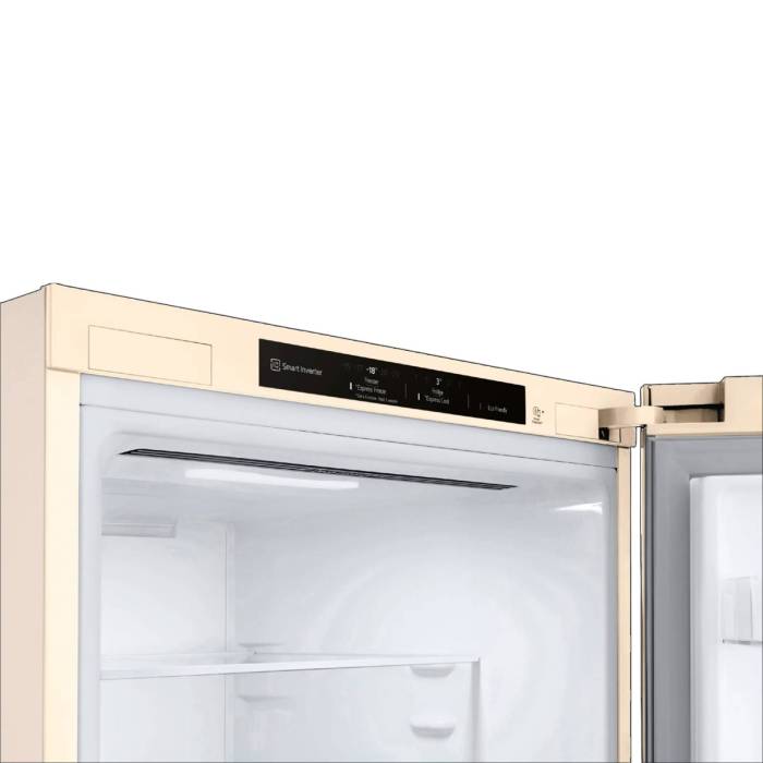 LG GA-B509SECL — холодильник с лотком для яиц, LED-подсветкой и сигналом открытой двери, купить с доставкой по городу