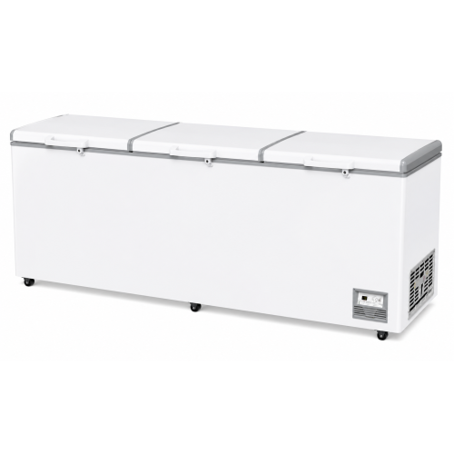 Морозильный ларь ECO ICE W-300
