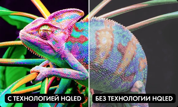 Feature Image 11zon 1