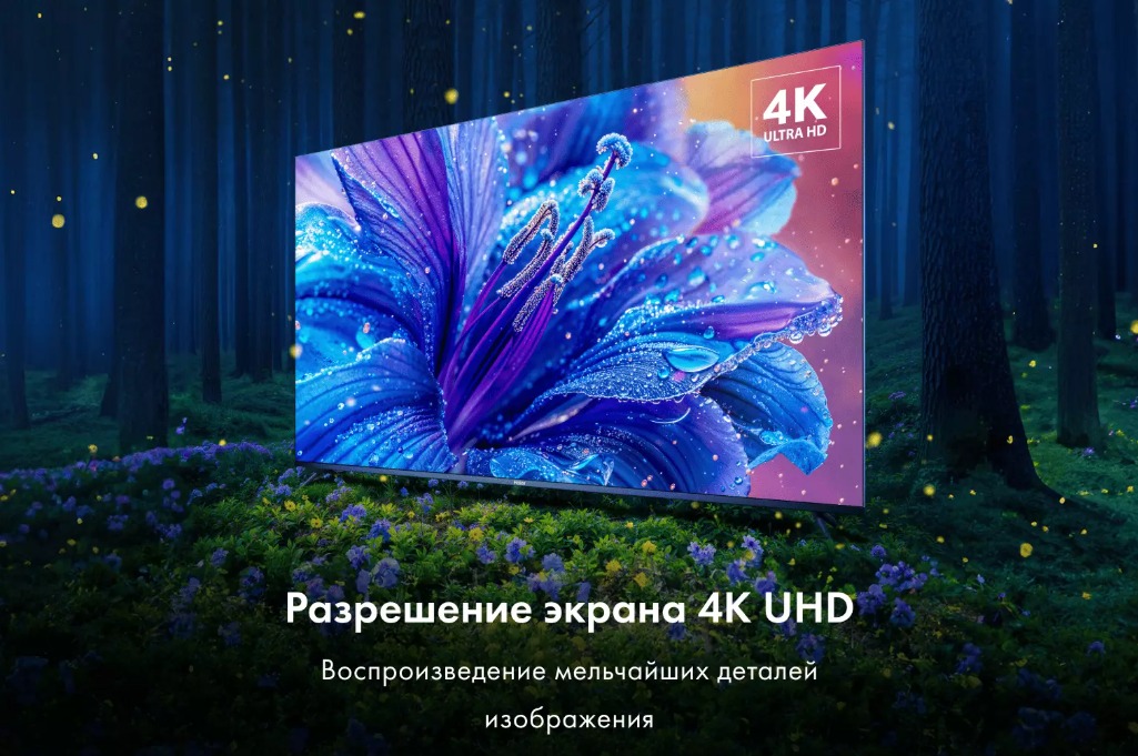 Haier 55 Smart TV S22