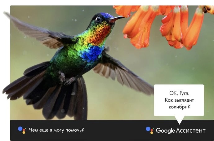 google assistant K6700 11zon