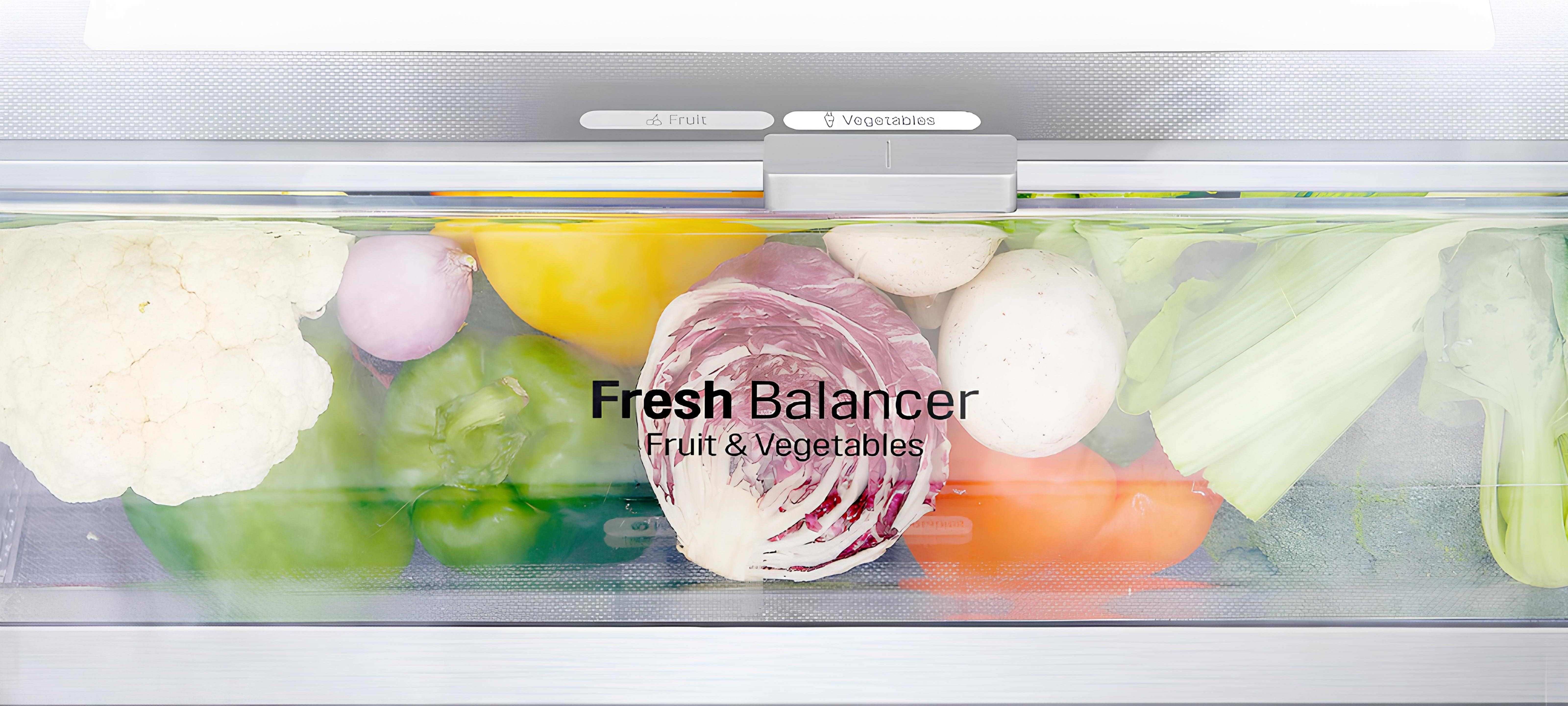FRESHBalancer LG