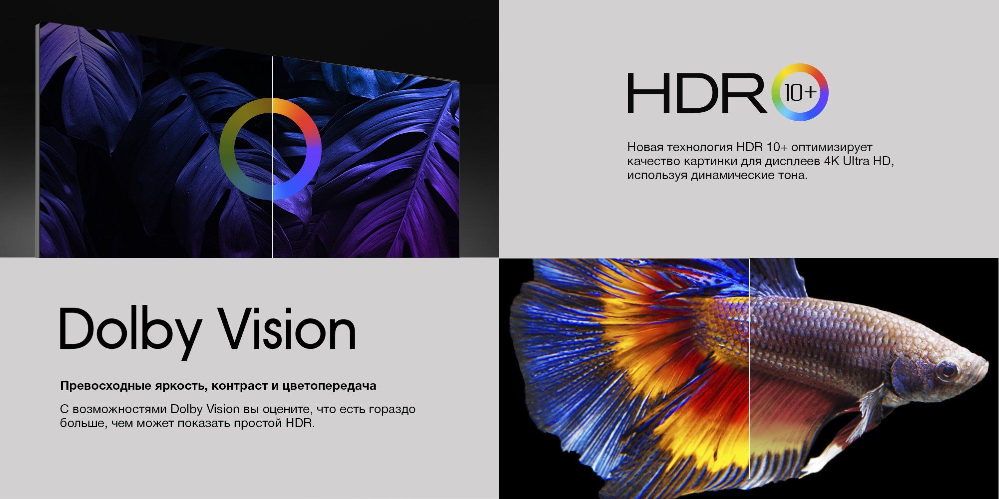 HDR10 and Dolby vision